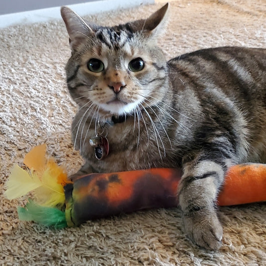 Catnip Kickers - Assorted Colors